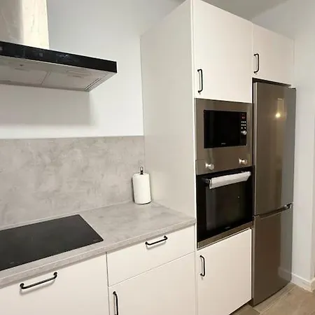 Vivienda Renovada Y Céntrica Appartement