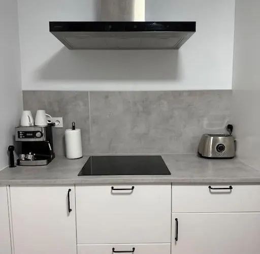 Vivienda Renovada Y Centrica *